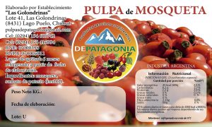 STdpmosquetacongelada