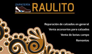 TJzapateria raulito